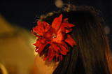 dsc_9264.jpg