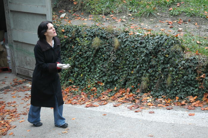 dsc_9476.jpg