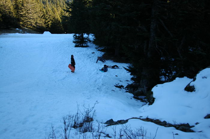 dsc_1837.jpg