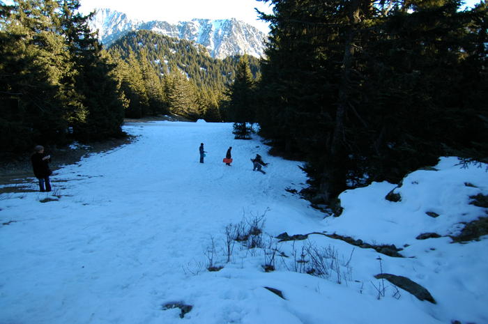 dsc_1841.jpg