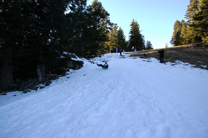 dsc_1842.jpg