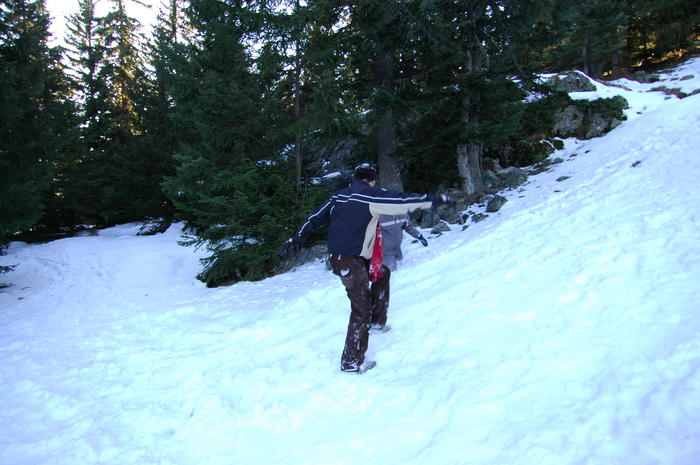 dsc_1849.jpg