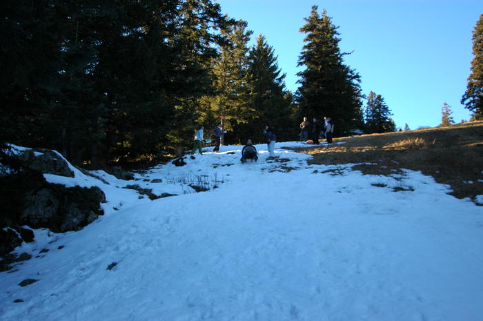 dsc_1850.jpg