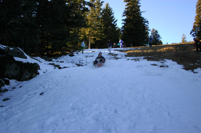 dsc_1856.jpg