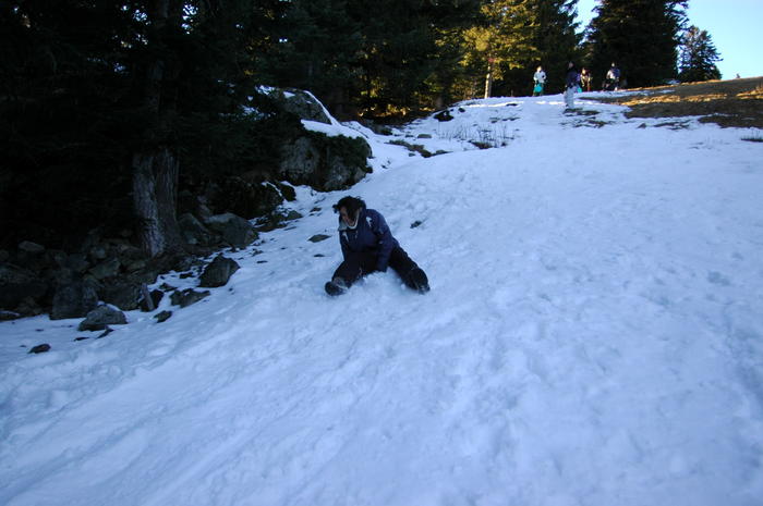 dsc_1863.jpg