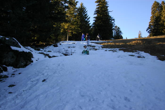 dsc_1864.jpg