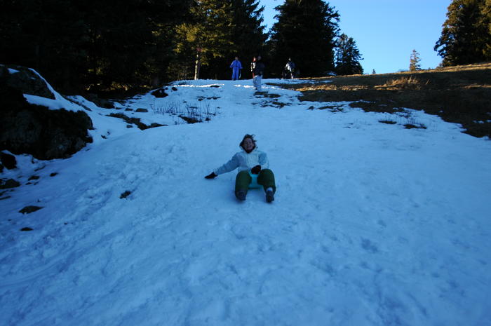 dsc_1865.jpg