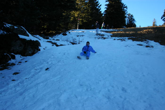 dsc_1868.jpg