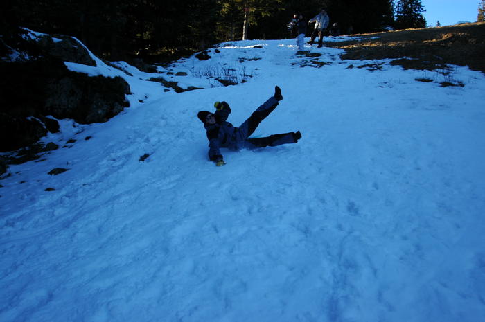 dsc_1872.jpg