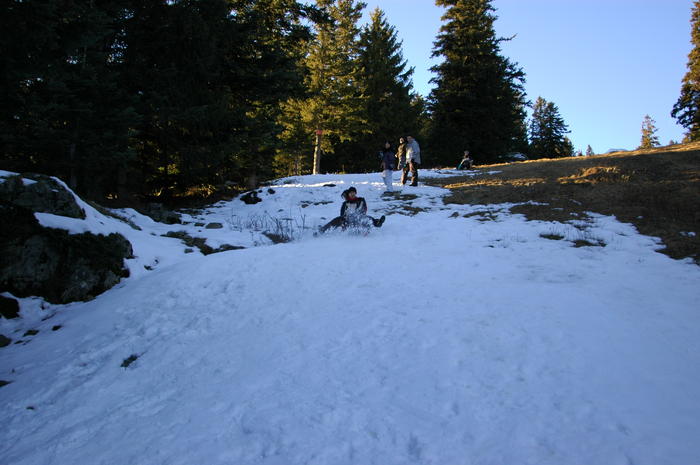 dsc_1878.jpg