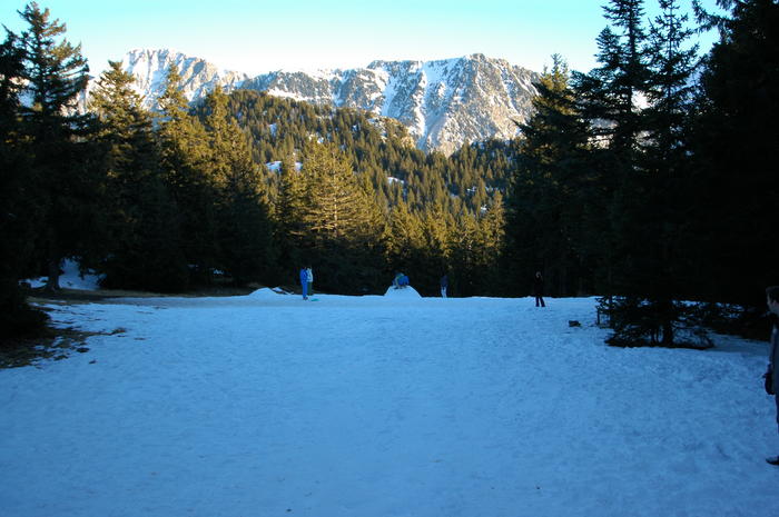 dsc_1914.jpg