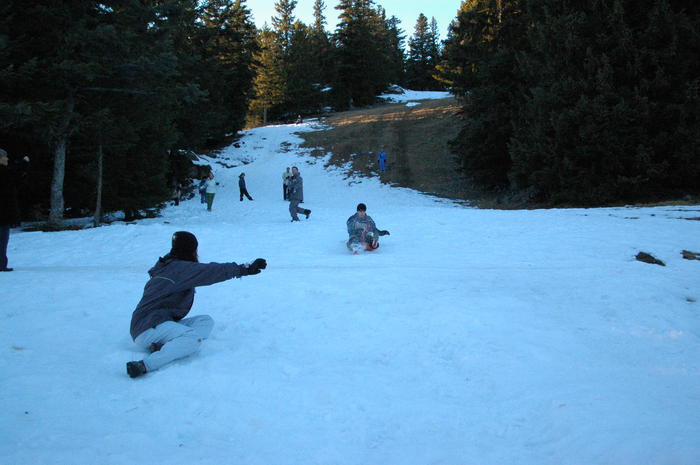dsc_1930.jpg