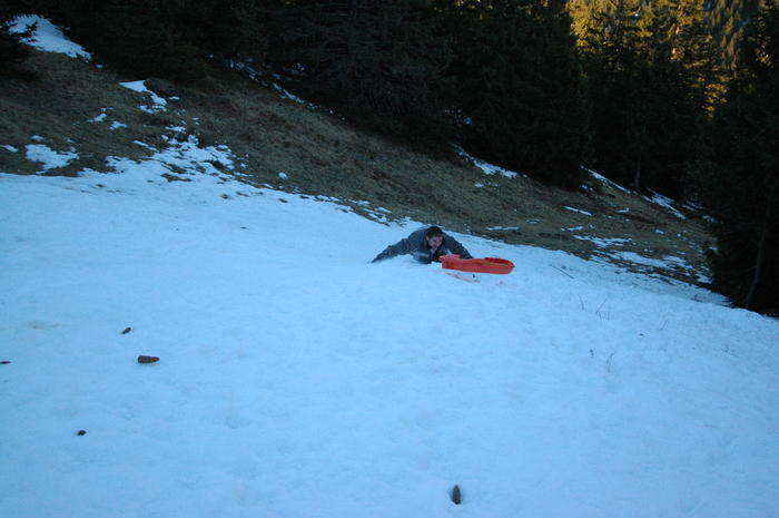 dsc_1956.jpg