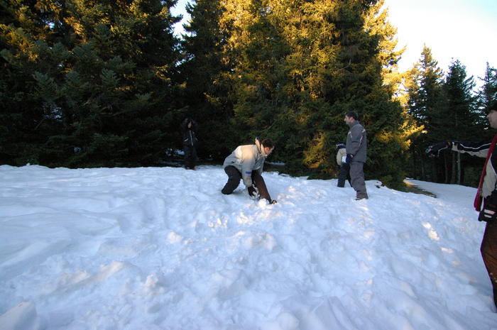 dsc_1964.jpg