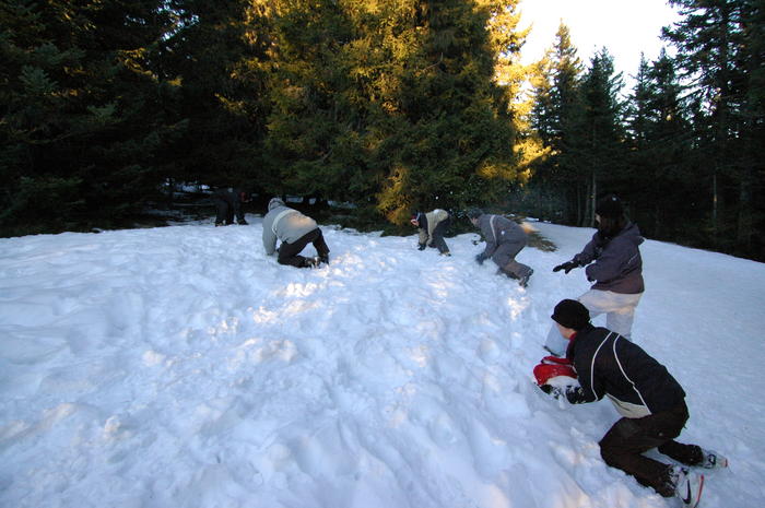 dsc_1967.jpg