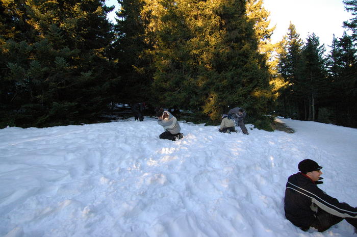 dsc_1969.jpg