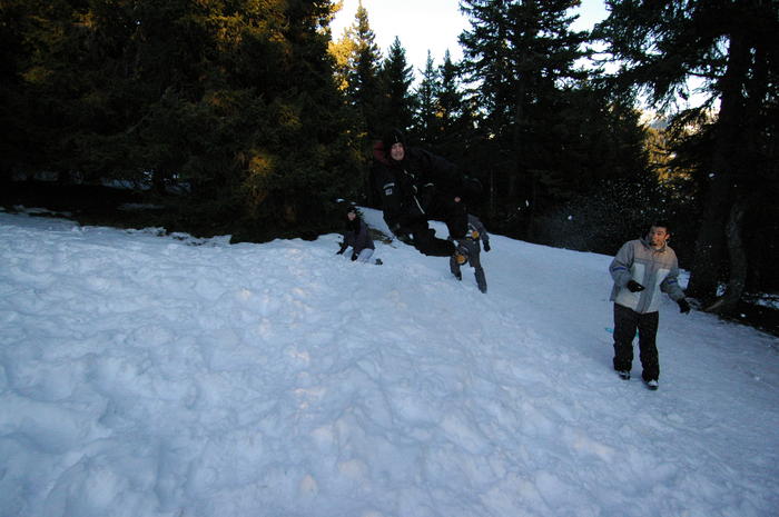 dsc_1989.jpg