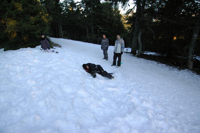 dsc_1993.jpg