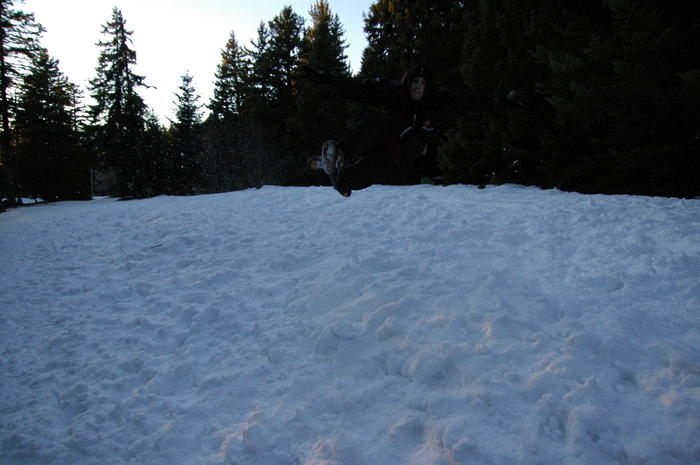 dsc_2003.jpg