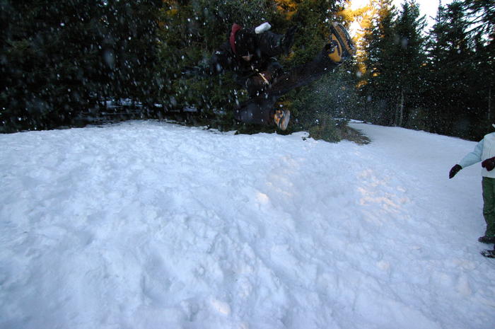 dsc_2008.jpg