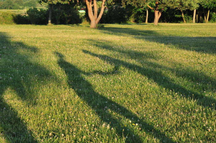 dsc_5297.jpg