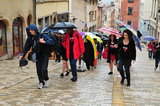 dsc_5161.jpg